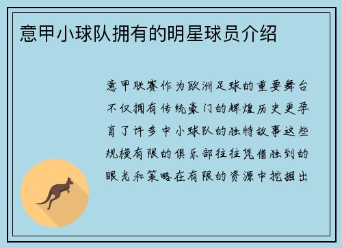意甲小球队拥有的明星球员介绍