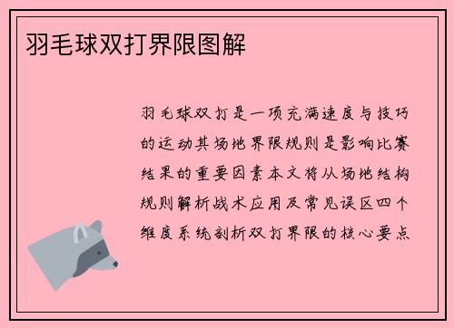 羽毛球双打界限图解